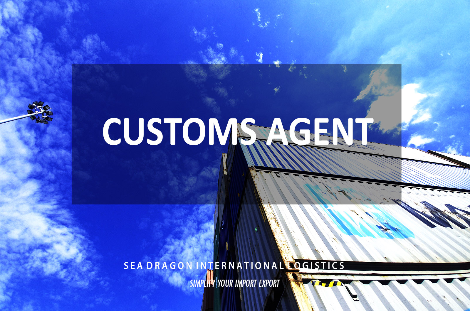 What is a customs agent? Why need customs agent services in Viet Nam?