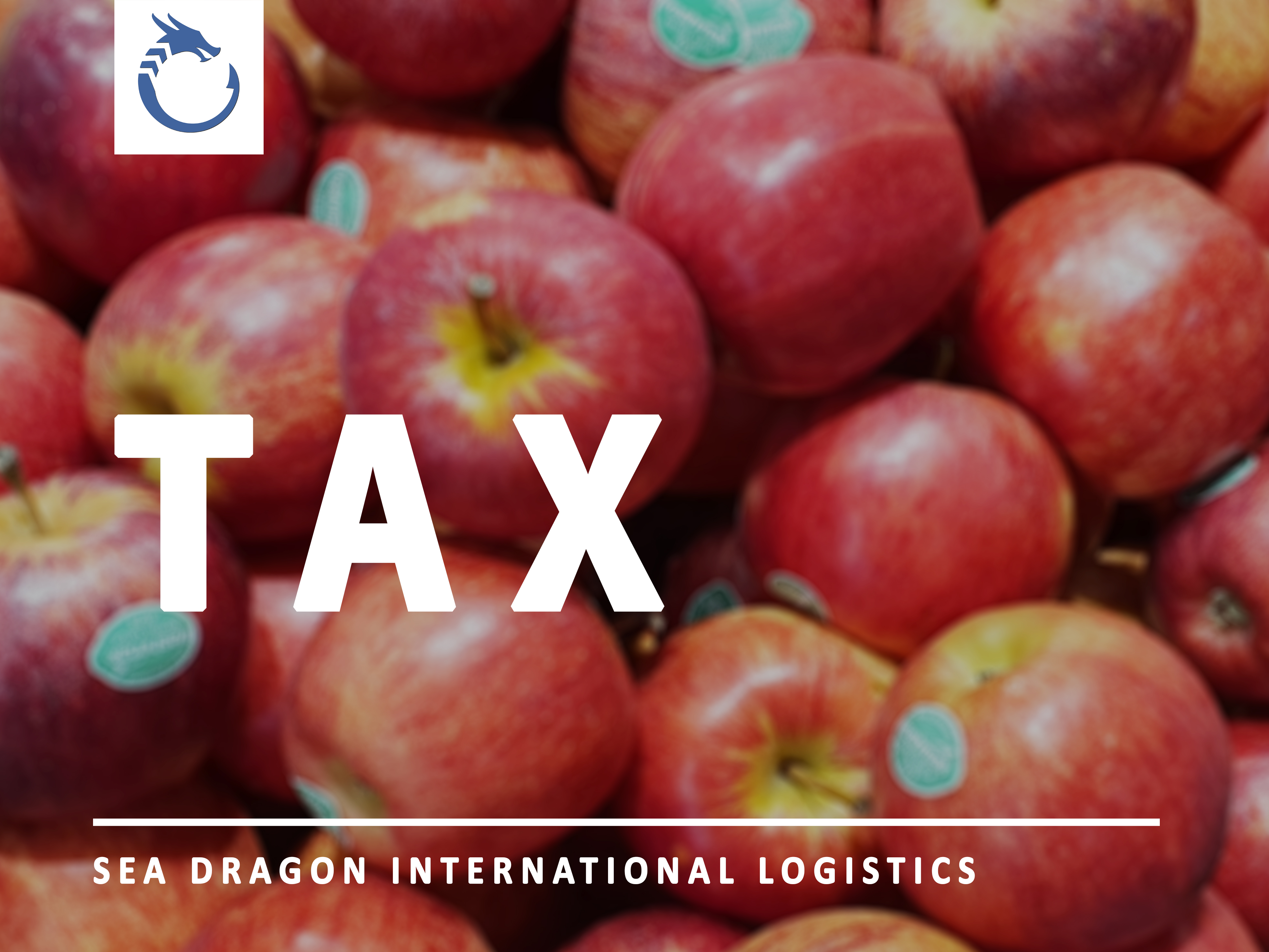 TYPES OF TAXES INCURRED WHEN IMPORTING OFFICIAL QUOTA GOODS IN VIETNAM - SEA DRAGON LOGISTICS