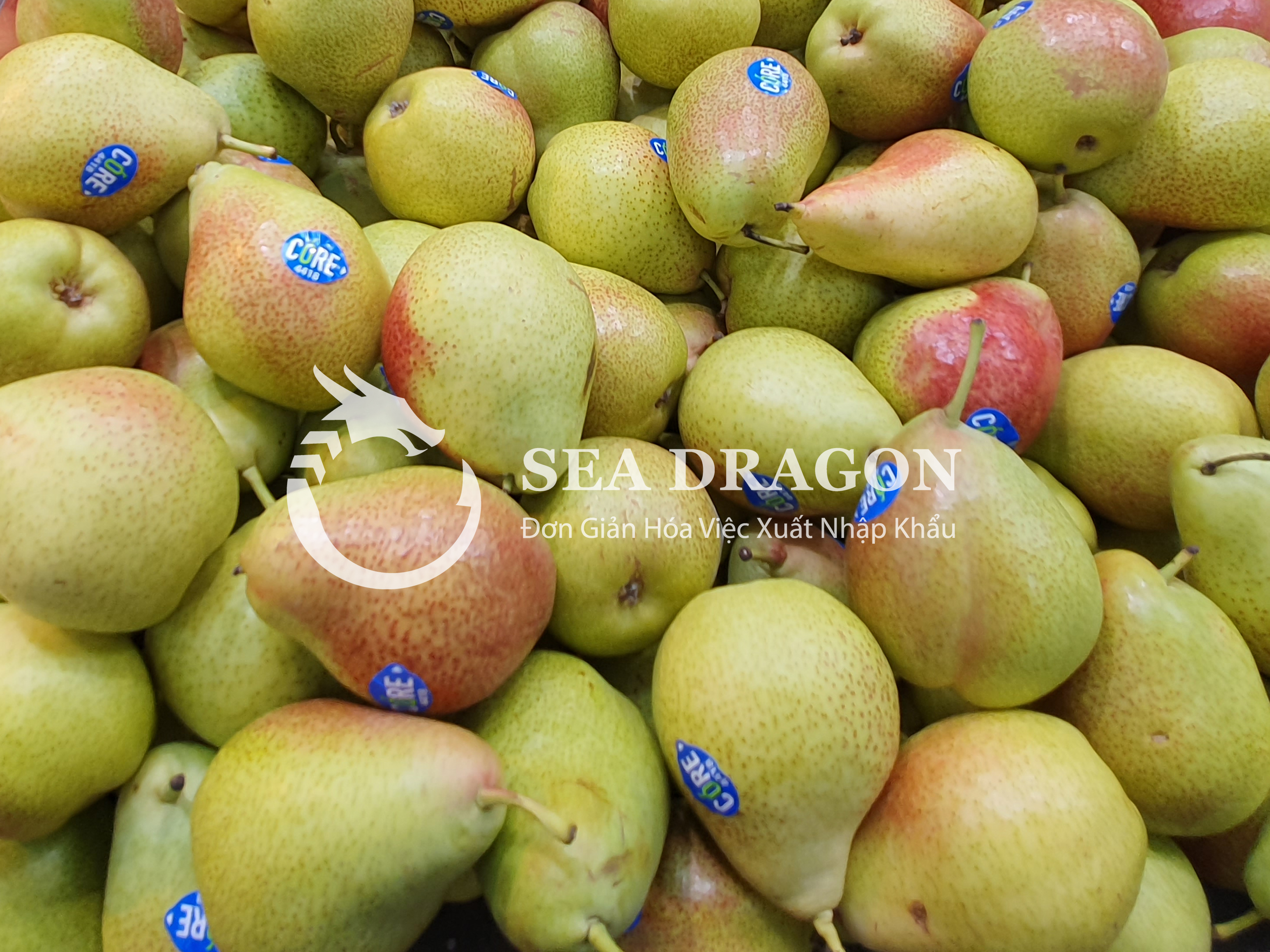 TYPES OF TAXES INCURRED WHEN IMPORTING OFFICIAL QUOTA GOODS IN VIETNAM - SEA DRAGON LOGISTICS