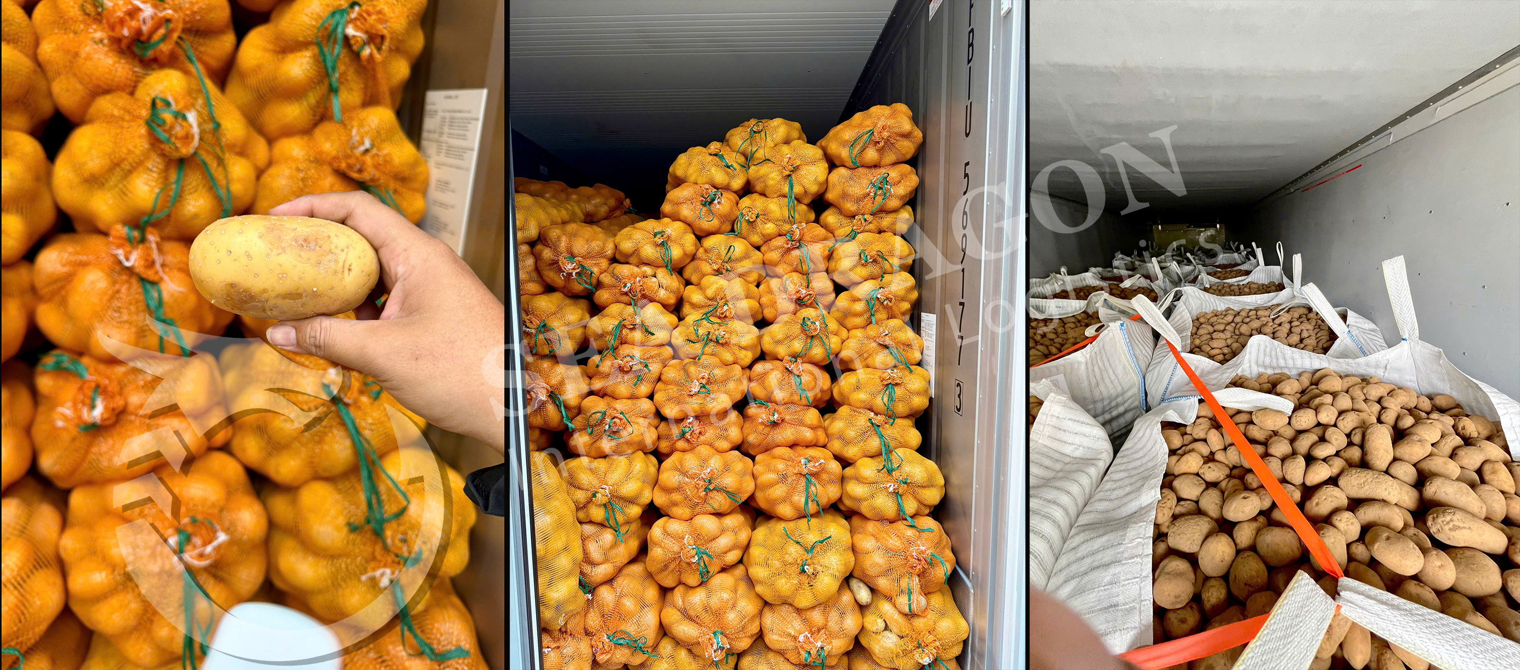 SEA DRAGON LOGISTICS - PROCEDURES FOR IMPORTING FRESH POTATOES IN VIETNAM