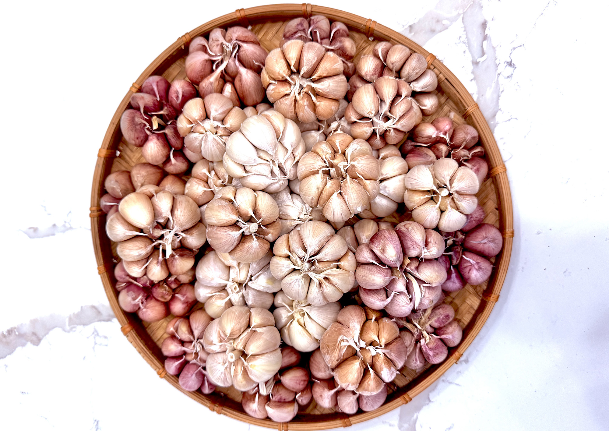 SEA DRAGON LOGISTICS PROCEDURES FOR GARLIC IMPORTATION IN VIETNAM