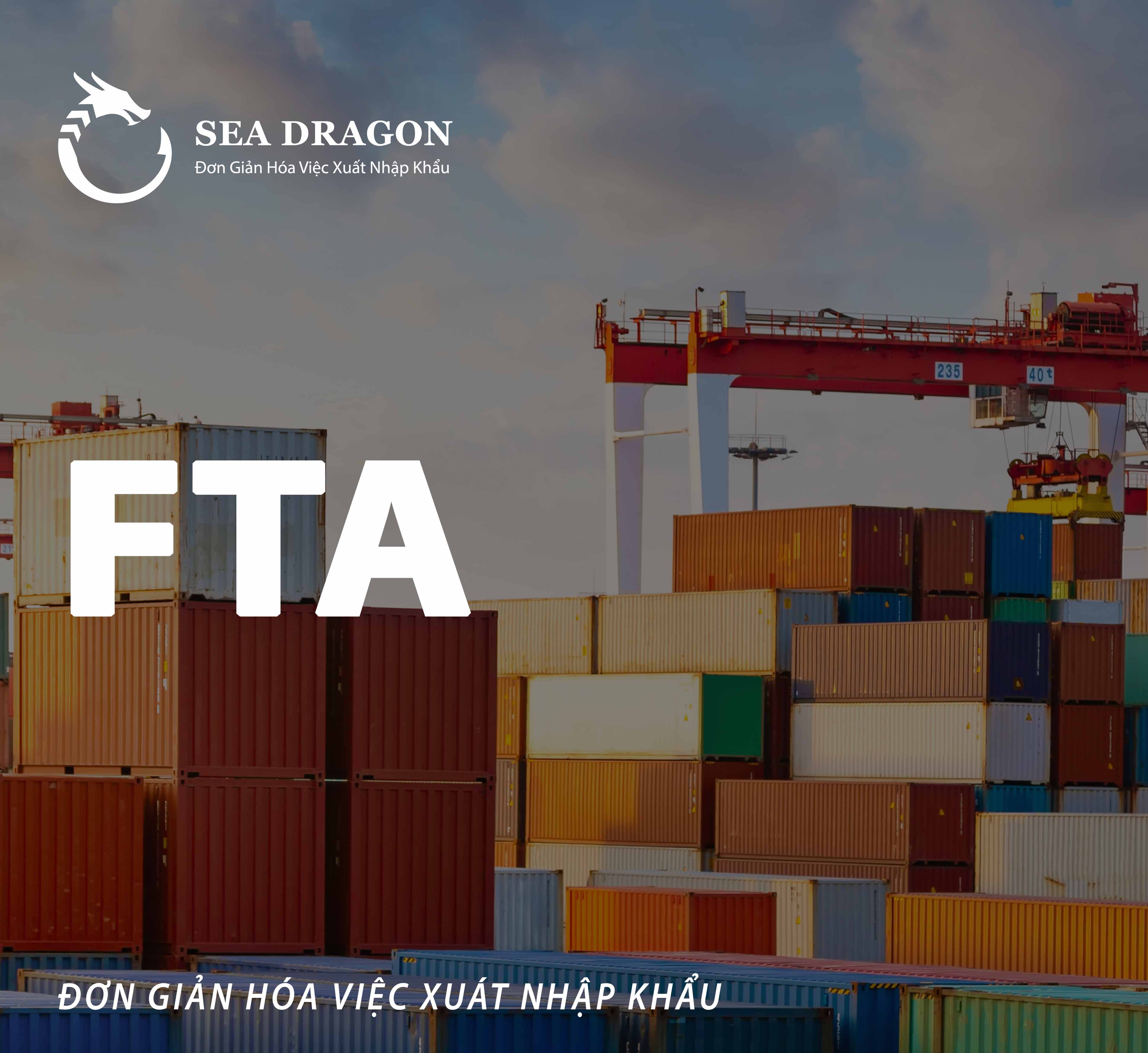 FREE TRADE AGREEMENTS (FTAs) BETWEEN VIETNAM AND OTHER COUNTRIES